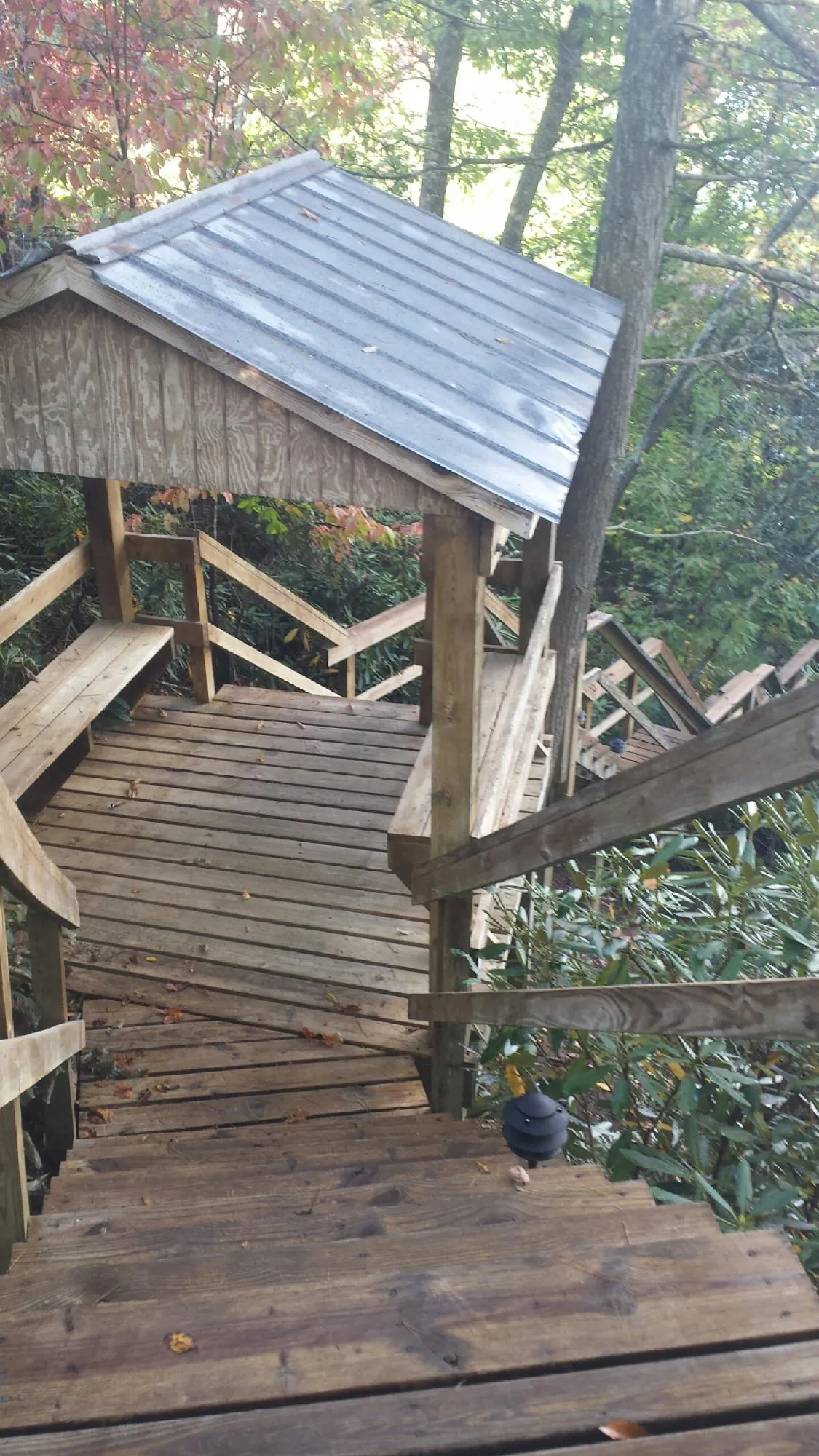 Metal roofed shelter over wooden steps on a wooded walkway — Skylight Repair & Installation work by our crew in Bunch